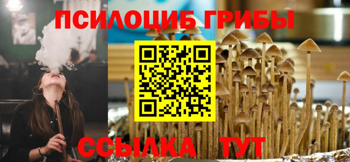 Псилоцибиновые грибы Magic Shrooms Новокубанск